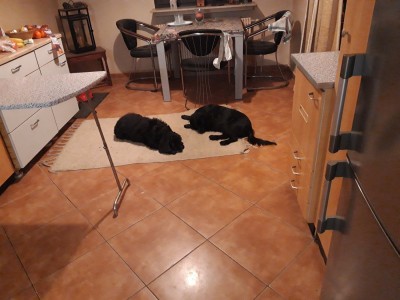 20201129_011139.jpg