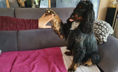 20201222_121125.jpg