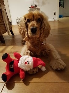 20201202_184420.jpg