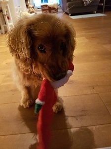20201218_164032.jpg