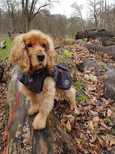 20201220_112541.jpg