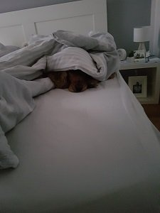 20201219_083427.jpg