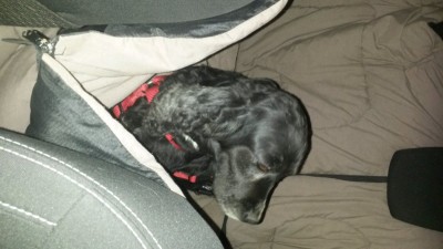 20201205_182323.jpg
