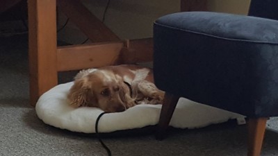 20201229_114157.jpg