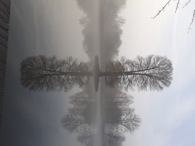 05EE52F2-40E0-40D8-8428-B0BF396E81E7.jpeg