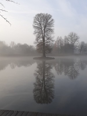 05EE52F2-40E0-40D8-8428-B0BF396E81E7.jpeg