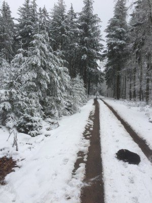 IMG_0584.jpeg