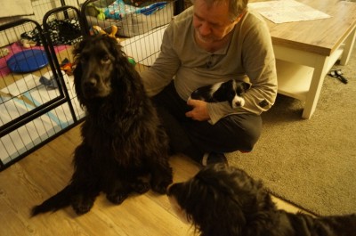 Der üble Kona... ;0))