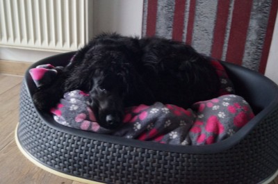 Als wenn er nie weg war. ;0) Aber völlig fertig am letzten Samstag.