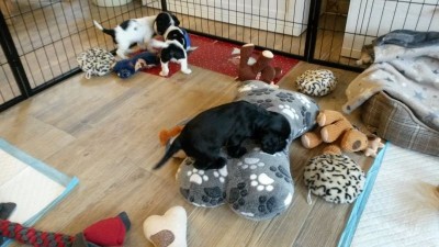 Babyturnen mit Mala