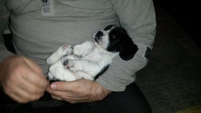 Also verwöhnt werden die Mäuse hier auf keinen Fall. :)