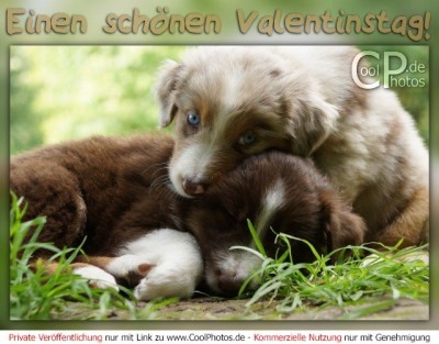 valentinstag Grüße 2.jpg