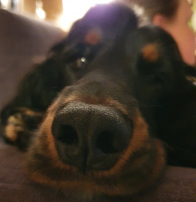 20210304_194411.jpg