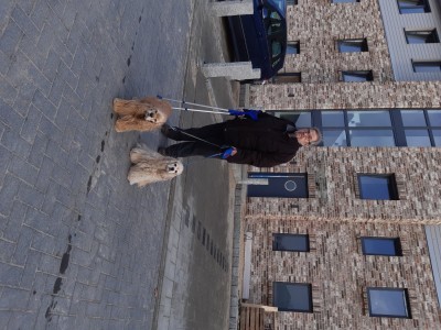 Spaziergang mit Herrchen im Februar