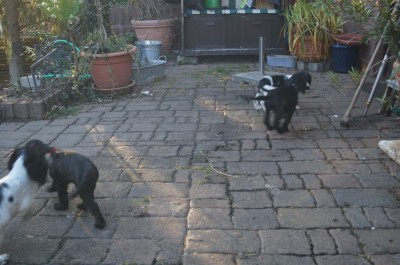 DSC08972.JPG