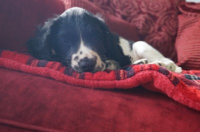 Couching