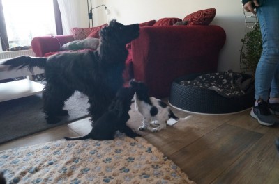 Kona mit einem Teil der Mini-Crew.