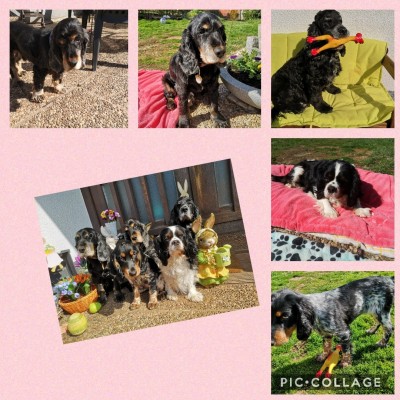 Collage 2021-04-23 22_22_59.jpg