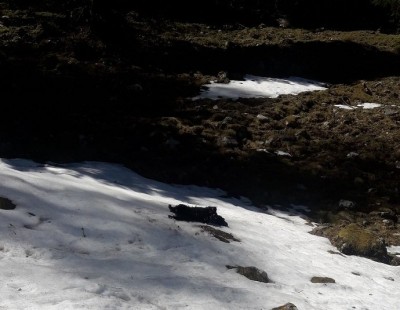 nochmal im Schnee wälzen!