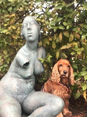 IMG-20210514-WA0006.jpg (256.63 KiB) 879 mal betrachtet IMG-20210514-WA0006.jpg