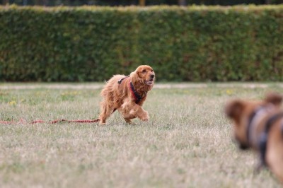 IMG-20210514-WA0002.jpg (141.78 KiB) 879 mal betrachtet IMG-20210514-WA0002.jpg