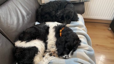 Anschließend synchronchillen