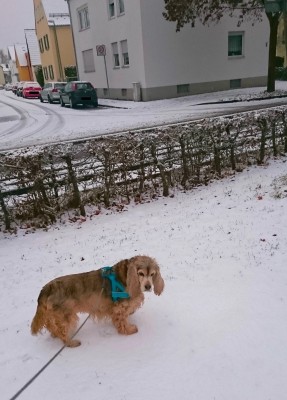 DSC_0562 Kopie.JPG