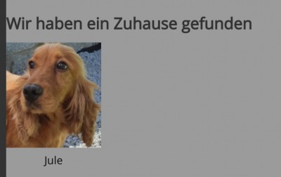 Screenshot_20210804-224035_Chrome.jpg