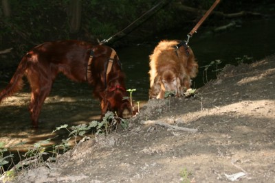 IMG_8479.JPG