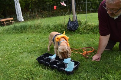 Schnuffel2.JPG