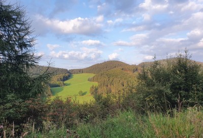 20210904_185959.jpg