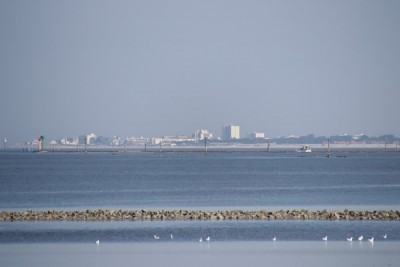 Norderney.JPG