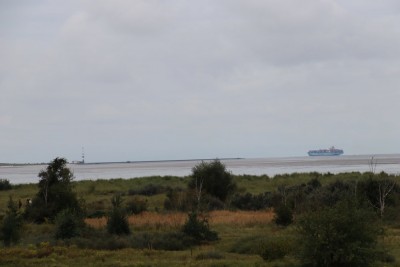 Hundestrand Schillig.JPG