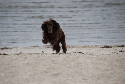 Strand.JPG