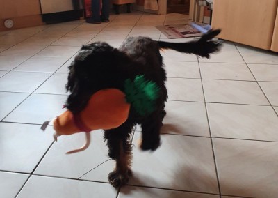 20211210_140722.jpg