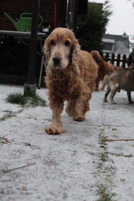 WhatsApp Image 2021-12-23 at 15.13.08.jpeg