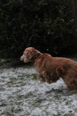 WhatsApp Image 2021-12-23 at 15.13.10.jpeg