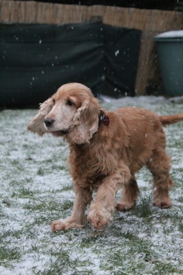 WhatsApp Image 2021-12-23 at 15.13.33.jpeg