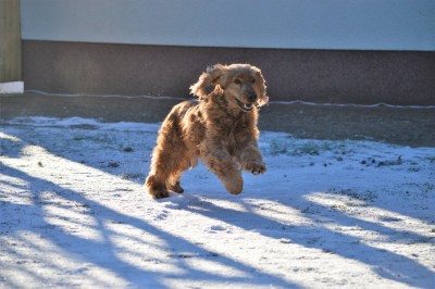 juhu ... Schneeeeeeee