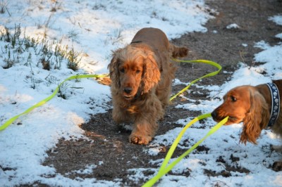 Kalle passt auf mich auf (hihi)