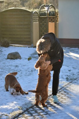 Liebe auf den ersten Blick