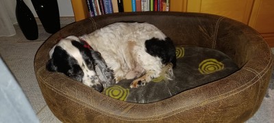 IMG-20220104-WA0005.jpg