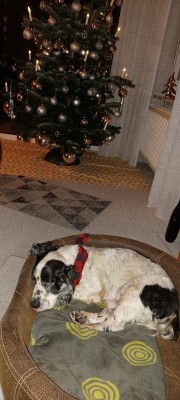 IMG-20220104-WA0004.jpg