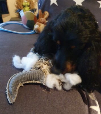 20220123_160715.jpg