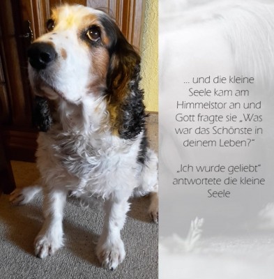 Screenshot_20220502-211130_Samsung Internet.jpg