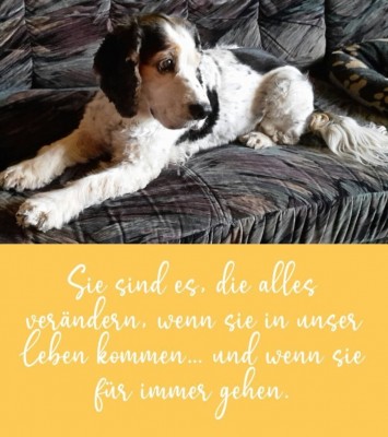 Screenshot_20220428-111022_Samsung Internet.jpg