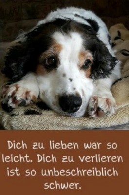 Screenshot_20220427-222140_Samsung Internet.jpg