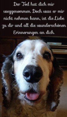 Screenshot_20220515-100400_Samsung Internet.jpg