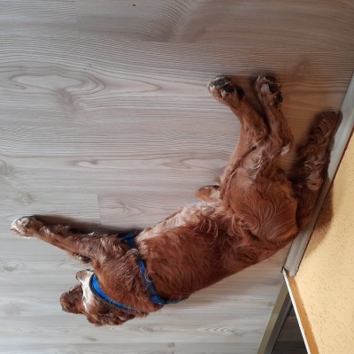 Ganz entspannt