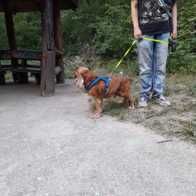 20220617_203445.jpeg